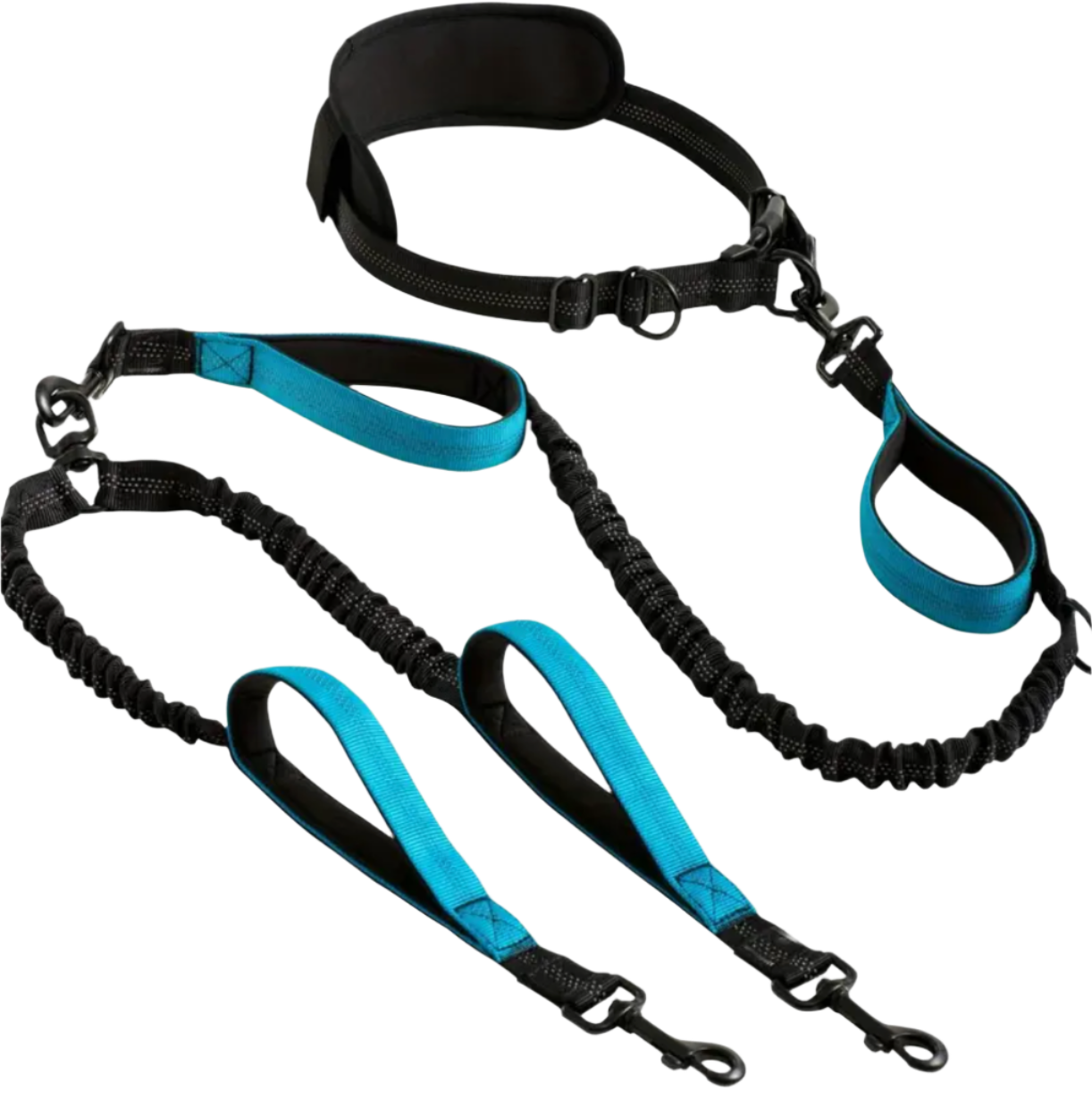 2 in 1 dog lead best sale