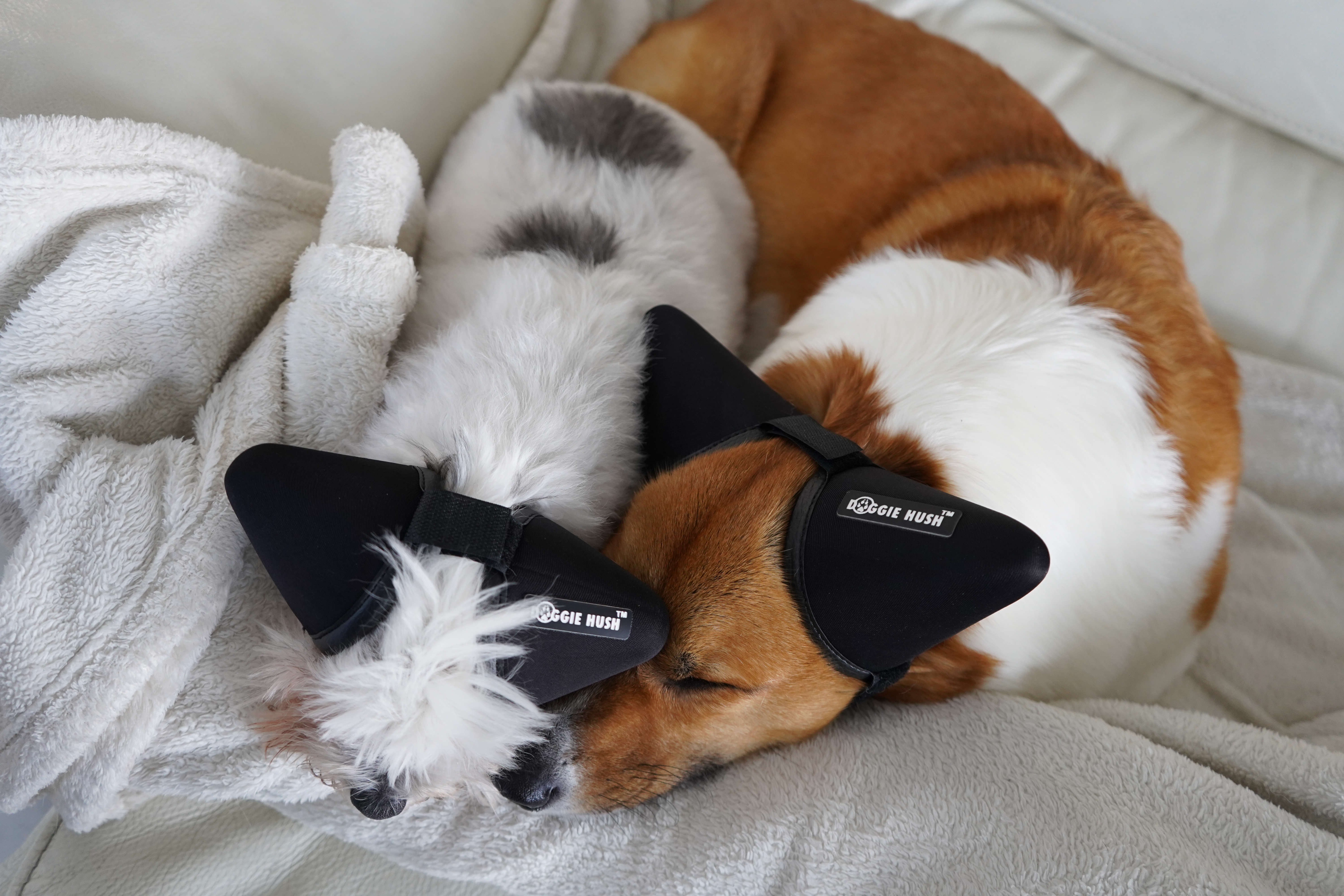 Crowds & events