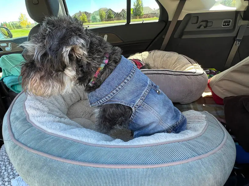 Denim Dog Vest Jacket