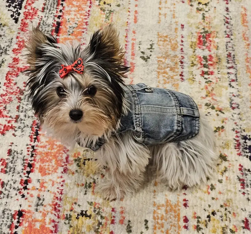 Denim Dog Vest Jacket