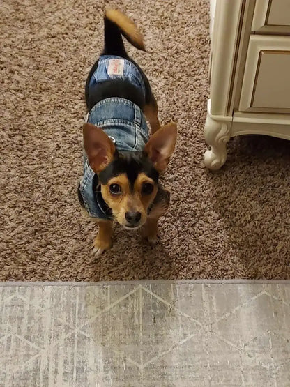 Denim Dog Vest Jacket