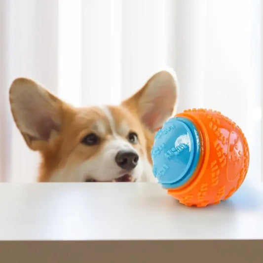 Blue and Orange Textured Ball Dog Toy