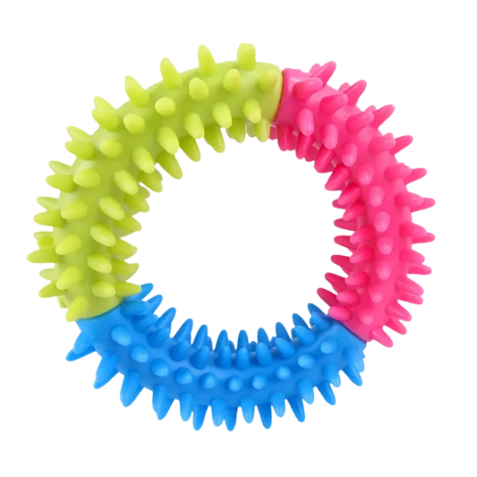 VIBRANT RUBBER DOG CHEW TOY