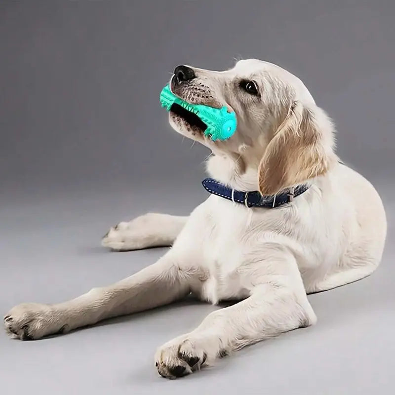 Durable Dog Toothbrush / Teeth Grinder