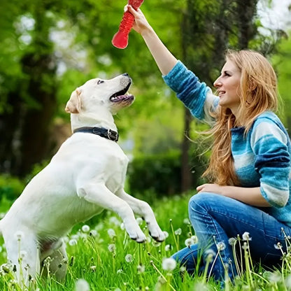 Indestructible Chew Toy for Dogs: Durable, Dental-Healthy & Interactive