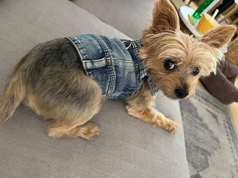 Denim Dog Vest Jacket