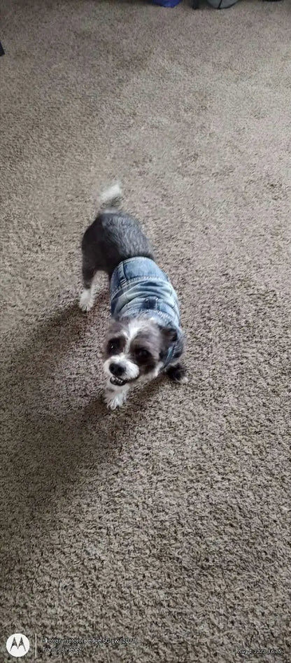 Denim Dog Vest Jacket