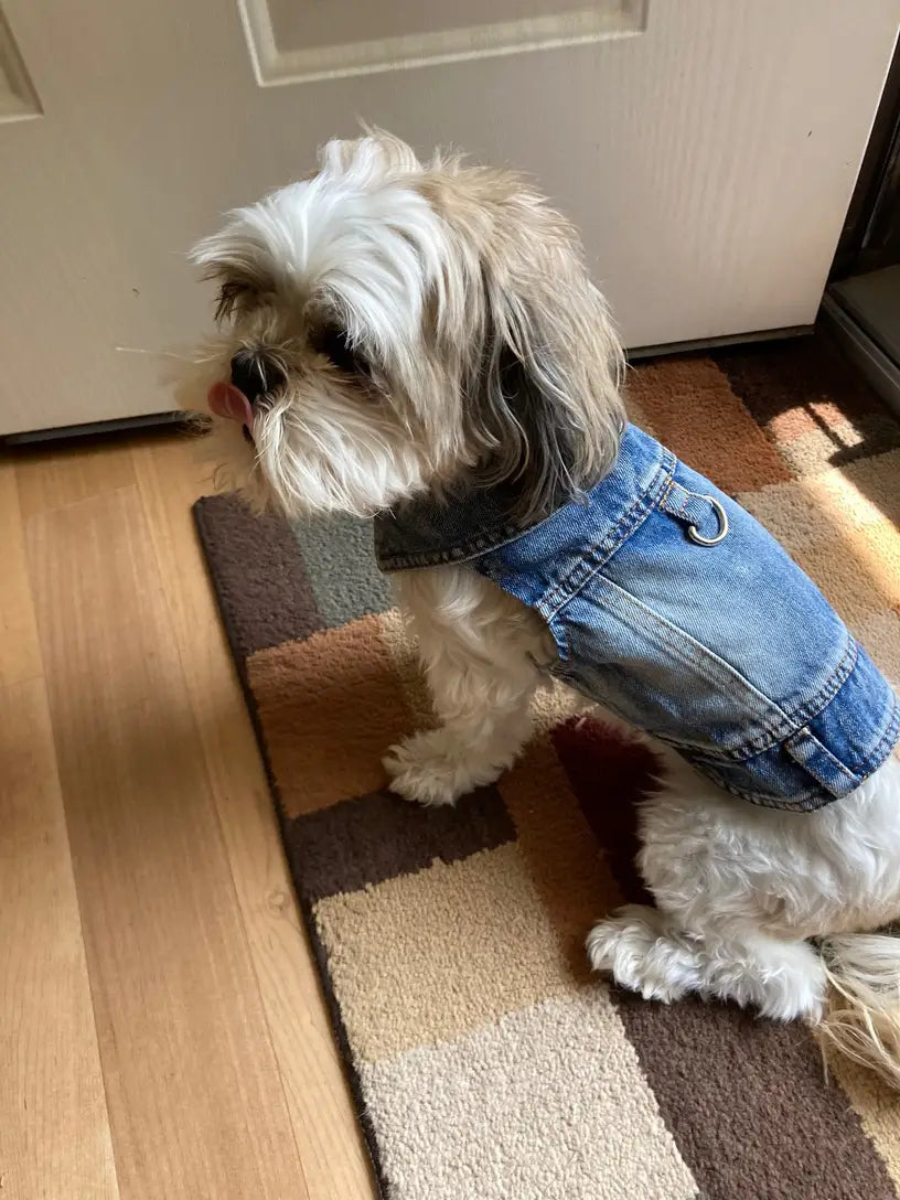 Denim Dog Vest Jacket