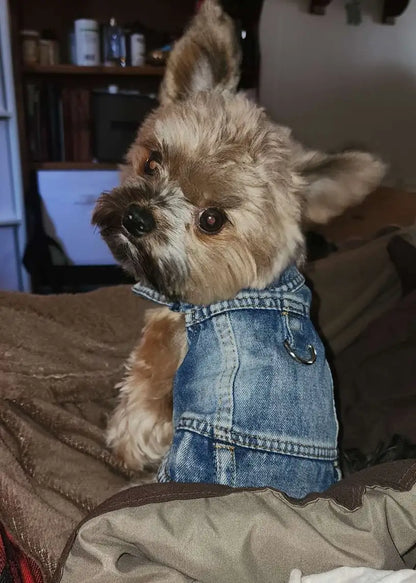 Denim Dog Vest Jacket