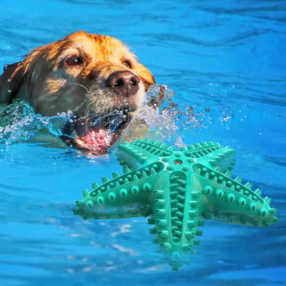 DURABLE SQUEAKY STARFISH DENTAL CHEW & TREAT TOY