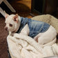 Denim Dog Vest Jacket