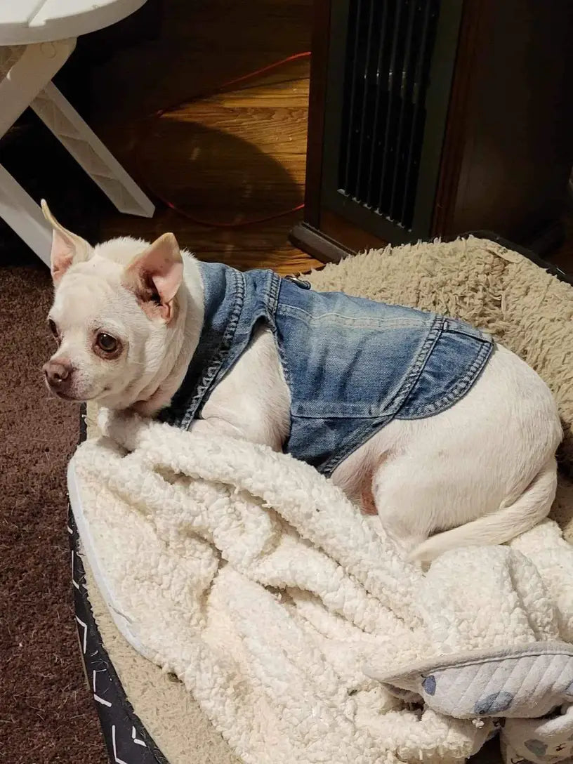 Denim Dog Vest Jacket