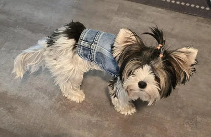 Denim Dog Vest Jacket