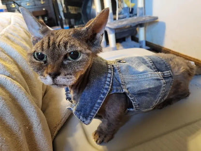 Denim Dog Vest Jacket