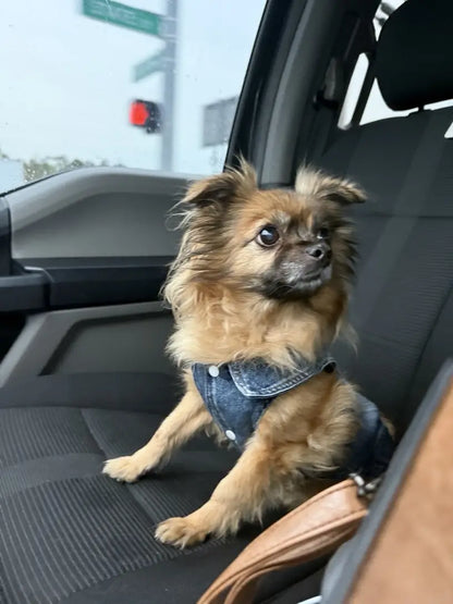 Denim Dog Vest Jacket