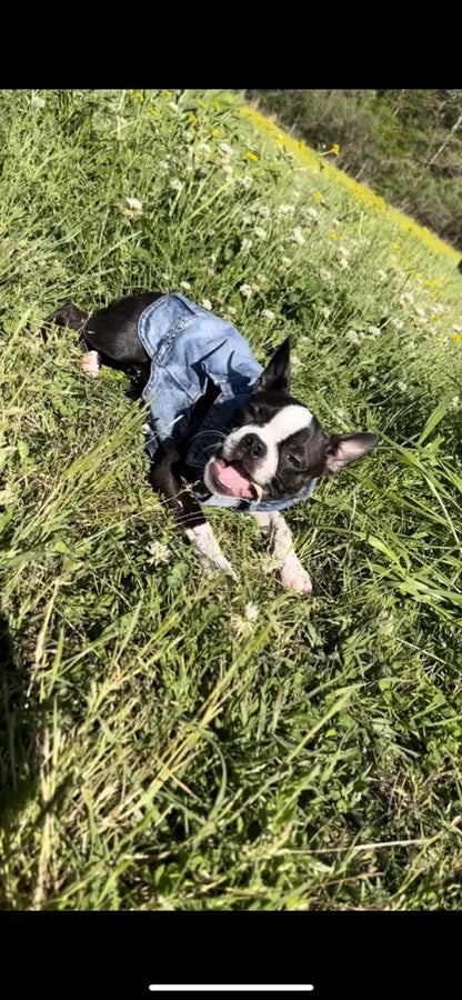 Denim Dog Vest Jacket