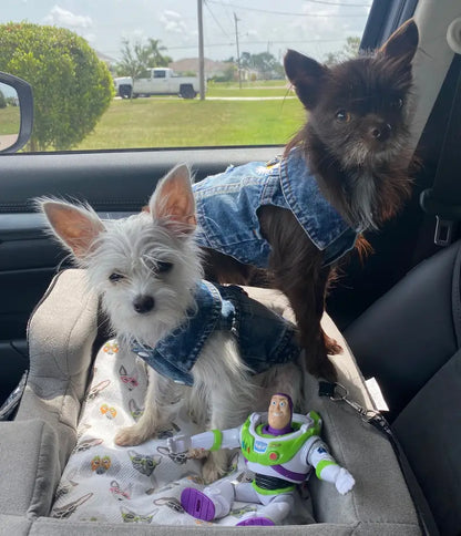 Denim Dog Vest Jacket