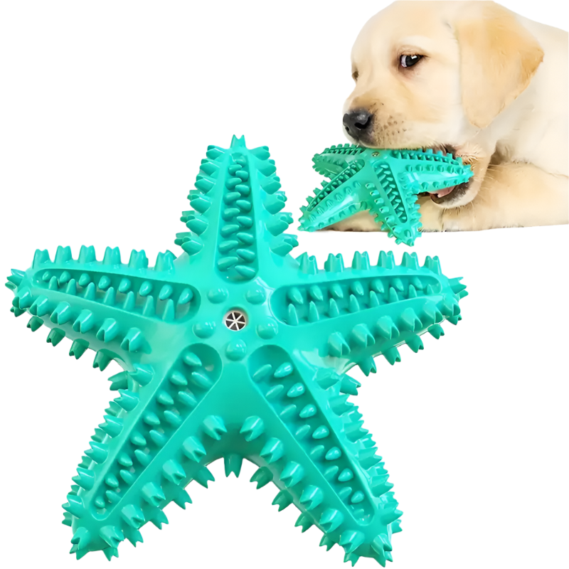 DURABLE SQUEAKY STARFISH DENTAL CHEW & TREAT TOY