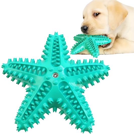 DURABLE SQUEAKY STARFISH DENTAL CHEW & TREAT TOY