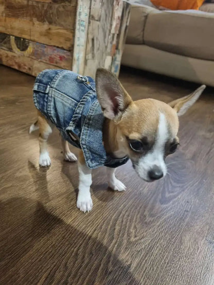 Denim Dog Vest Jacket