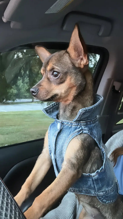 Denim Dog Vest Jacket