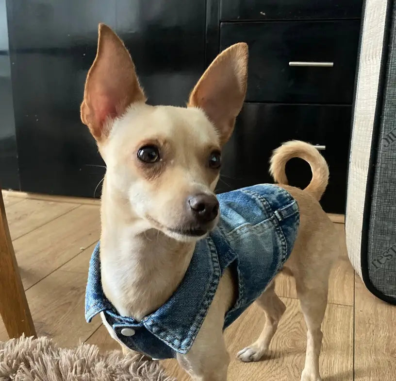 Denim Dog Vest Jacket