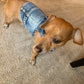 Denim Dog Vest Jacket