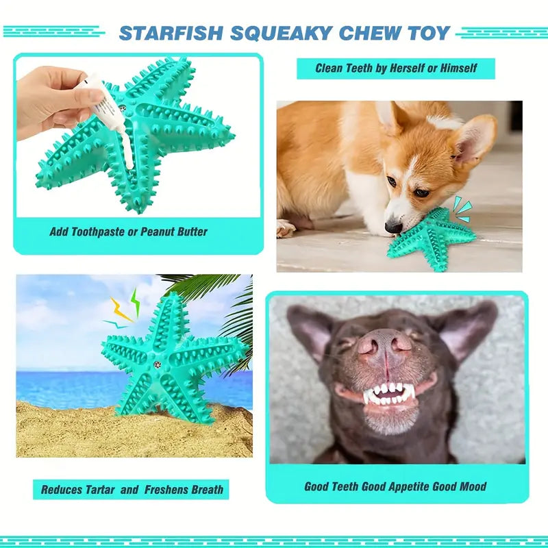 DURABLE SQUEAKY STARFISH DENTAL CHEW & TREAT TOY