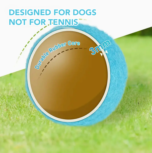 SQUEAKY TENNIS BALLS FOR HEAVY CHEWERS