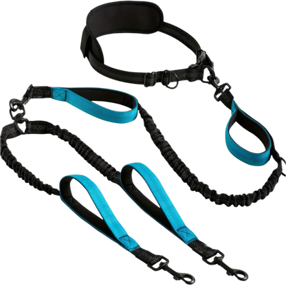 2 in 1 Hands-Free Double Dog Leash for 2 Medium and Large Dogs with Padded Handles, No Pull, Tangle Free, Reflective Stitches for Training, Hiking, Running, and Walking