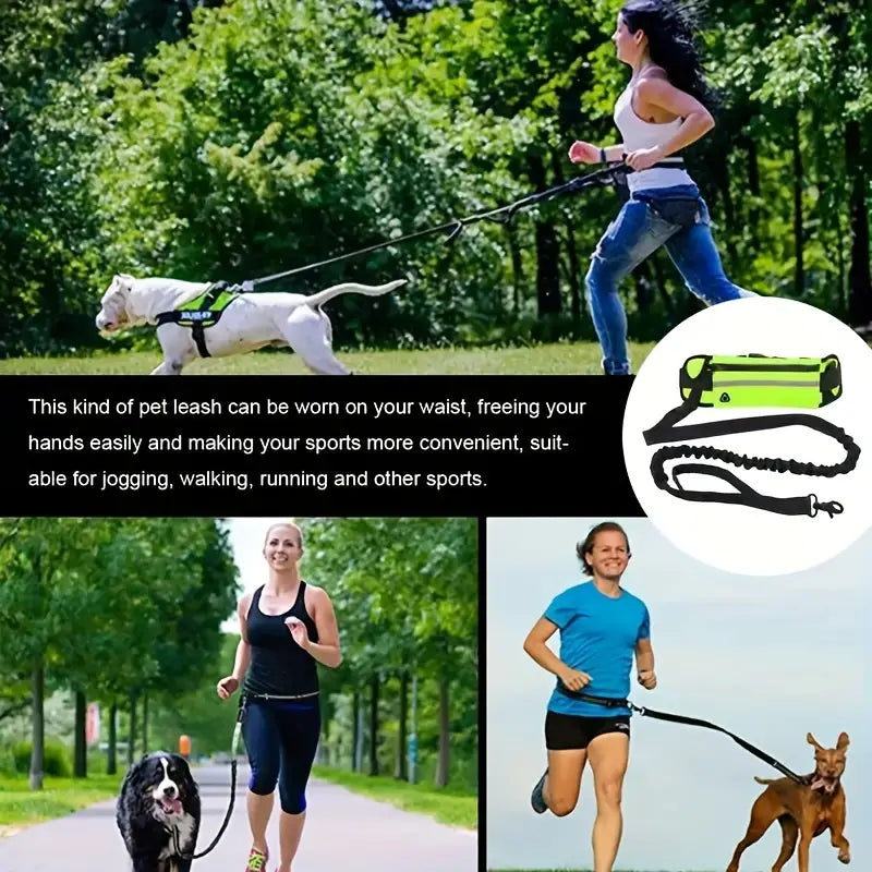 Hands-Free Dog Leash with Reflective Stitching