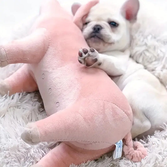 Cuddle Buddy Plush Pig Dog Toy