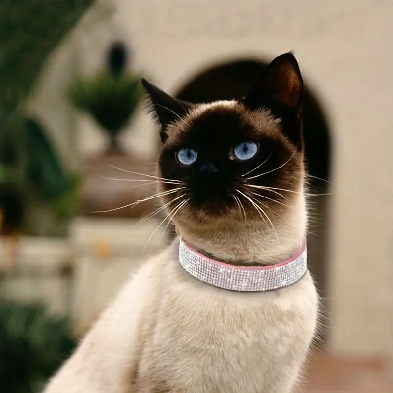 Glam Rhinestone Pet Collar