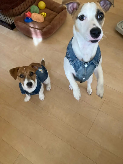 Denim Dog Vest Jacket