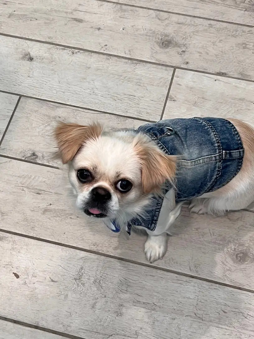 Denim Dog Vest Jacket