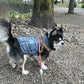 Denim Dog Vest Jacket