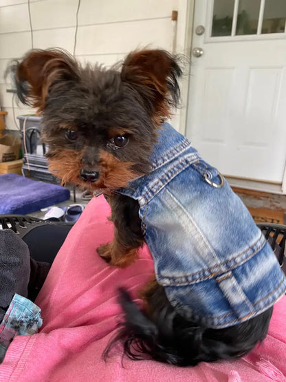 Denim Dog Vest Jacket