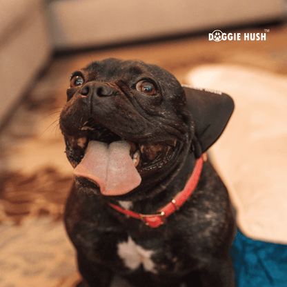 Doggie Hush Headphones™ - Doggie Hush