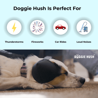 Doggie Hush Headphones™ - Doggie Hush