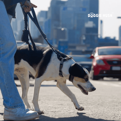 Doggie Hush Headphones™ - Doggie Hush