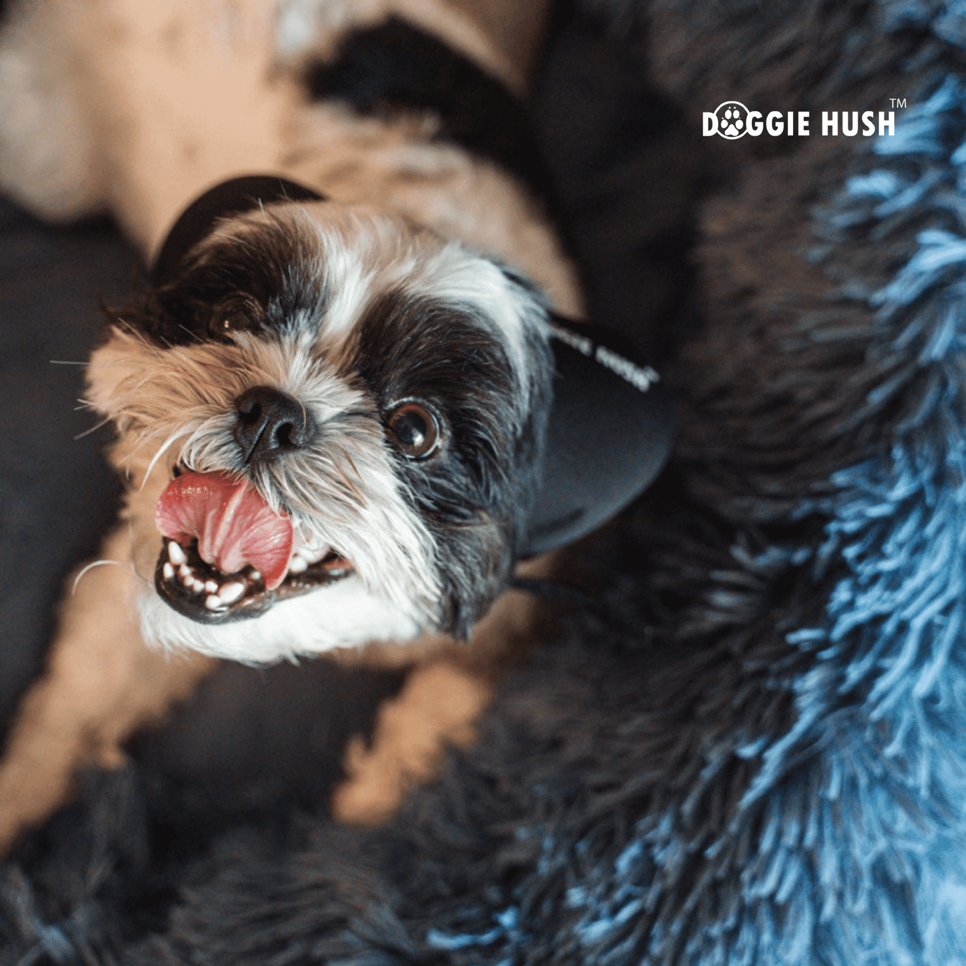 Doggie Hush Headphones™ - Doggie Hush