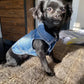 Denim Dog Vest Jacket