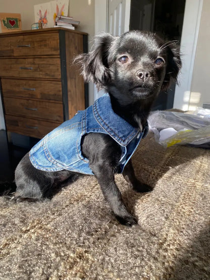 Denim Dog Vest Jacket