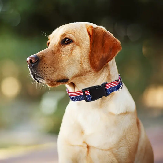 Patriotic Stars and Stripes Dog Collar