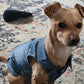 Denim Dog Vest Jacket