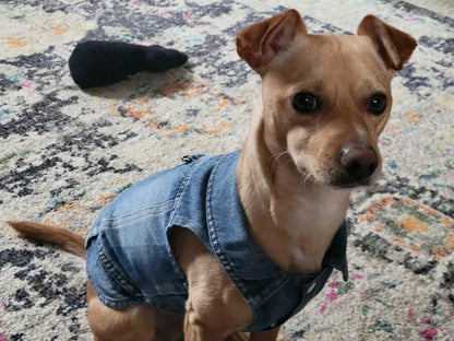 Denim Dog Vest Jacket