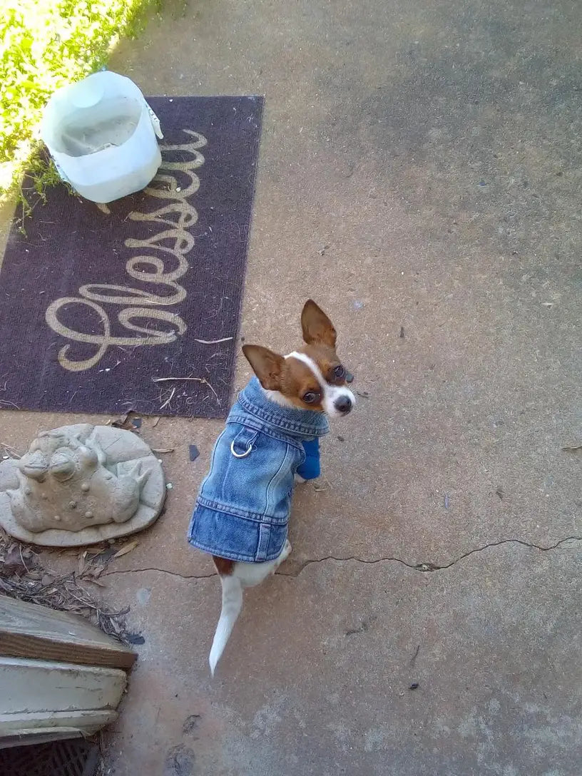 Denim Dog Vest Jacket