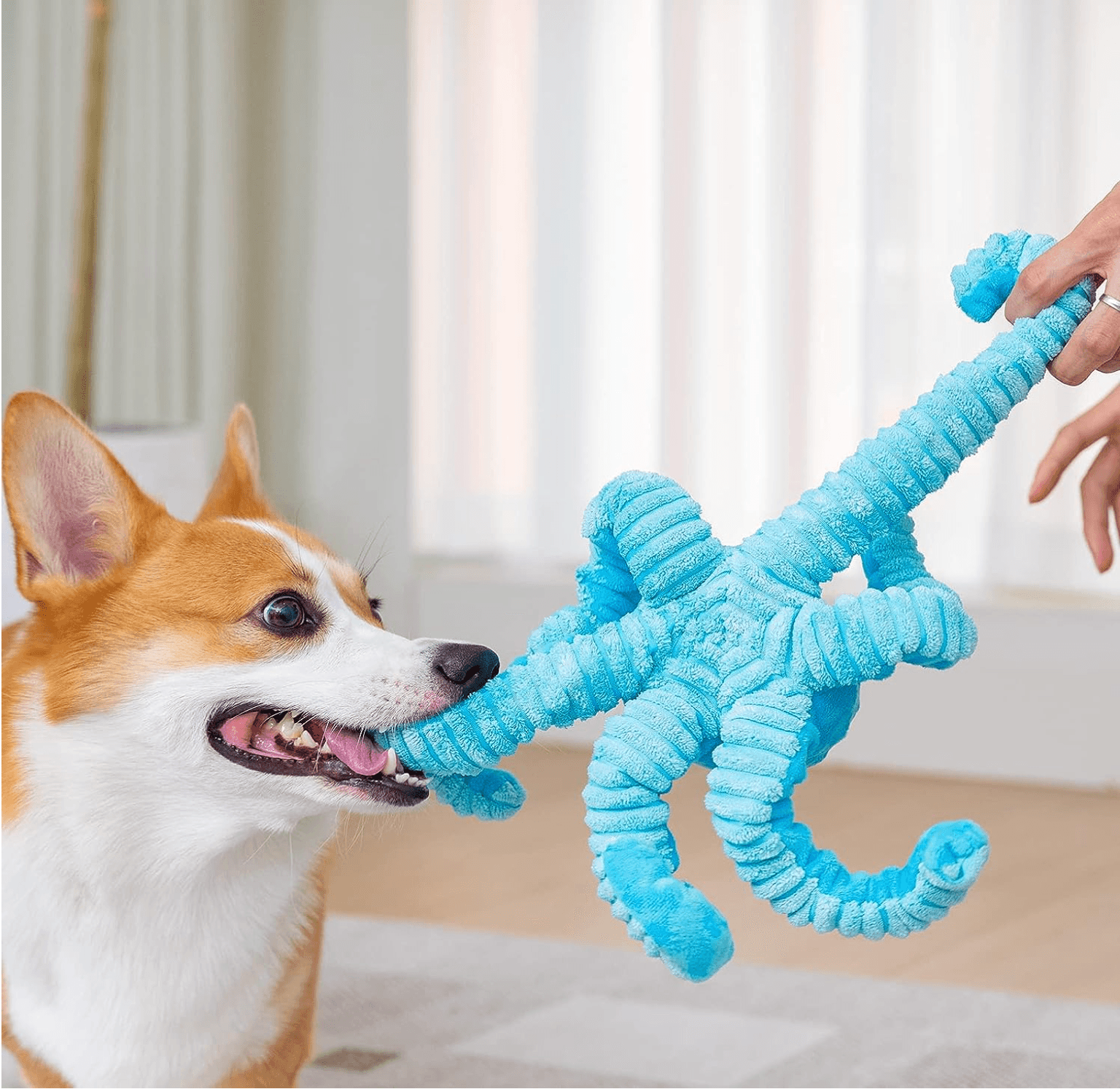 Oceanic Explorer Octopus Plush Chew Toy with Squeaker for Interactive Pet Play and Dental Health - Doggie Hush