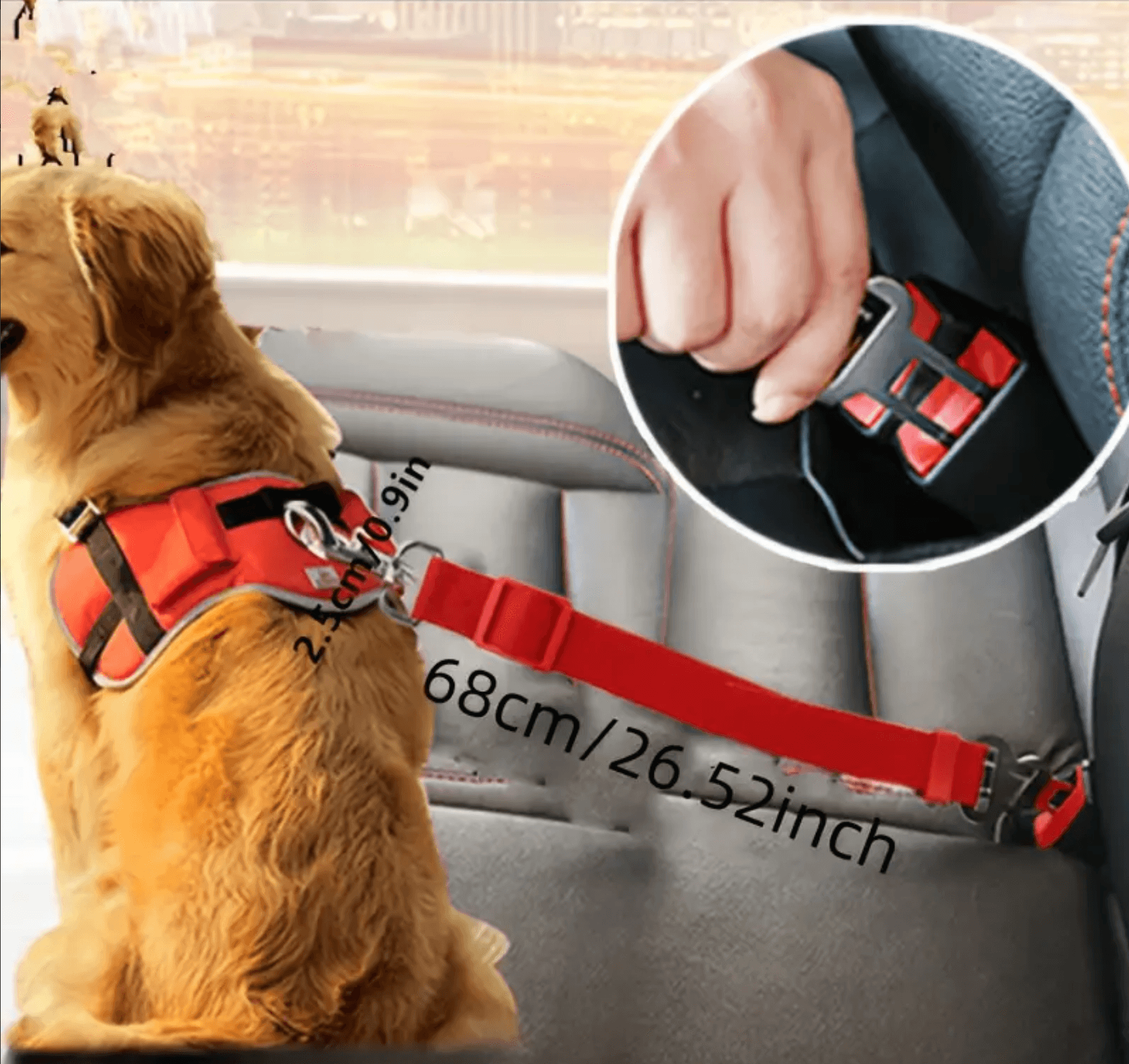 Best dog safety car seat best sale