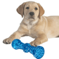 Squeaky Dog Toys for Aggressive Chewers - Blue - Doggie Hush